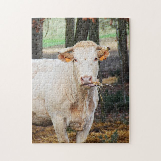 Cow feeding in France Jigsaw Puzzle (Vertical)