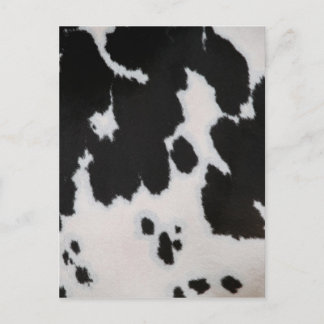Cow fur postcard