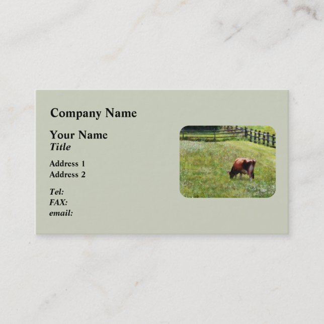 Cow Grazing in Pasture Business Card (Front)