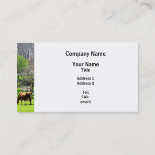 Cow Grazing in Pasture in Spring Business Card