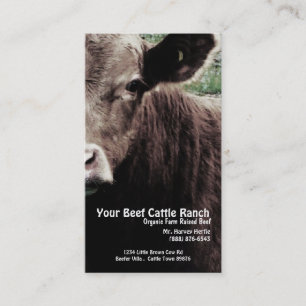 Cow Head Beef Ranch Business Card