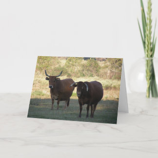 cow horns - get well card