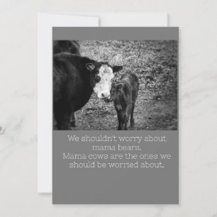 Cow Humor Card