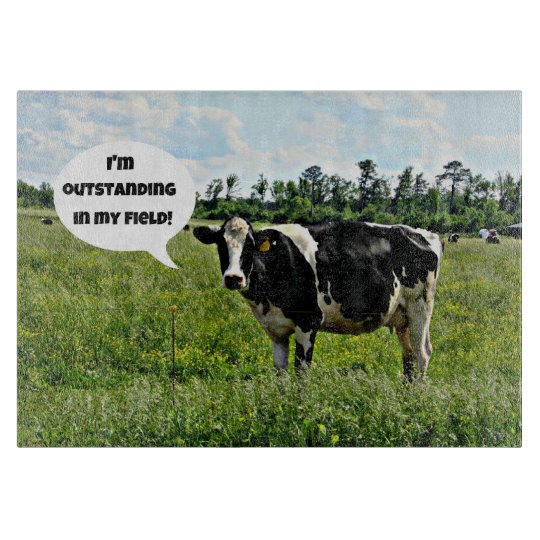 Cow Humour I M Outstanding In My Field Cutting Board Zazzle Co Nz Cow Humour I M Outstanding In My Field Cutting Board Zazzle Co Nz
