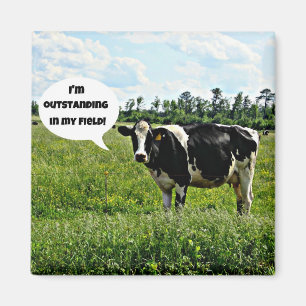 Cow Humour Magnet