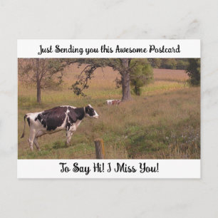 Cow in a Field "I Miss YOU" Saying Hi  Postcard