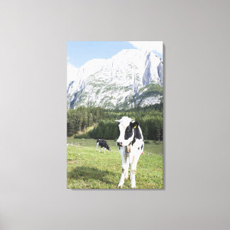 Cow In A Meadow, Fie Allo Sciliar, Alto Adige, Canvas Print