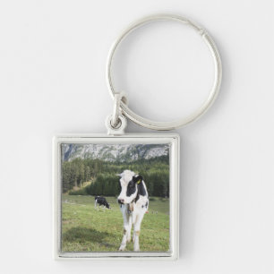 Cow In A Meadow, Fie Allo Sciliar, Alto Adige, Key Ring