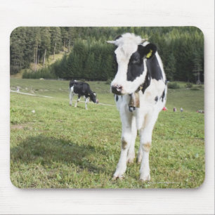 Cow In A Meadow, Fie Allo Sciliar, Alto Adige, Mouse Pad