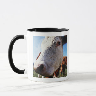 Cow in field, close-up mug