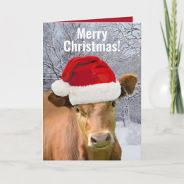 Cow in Santa Hat - Merry Christmas, Happy Moo Year Holiday Card