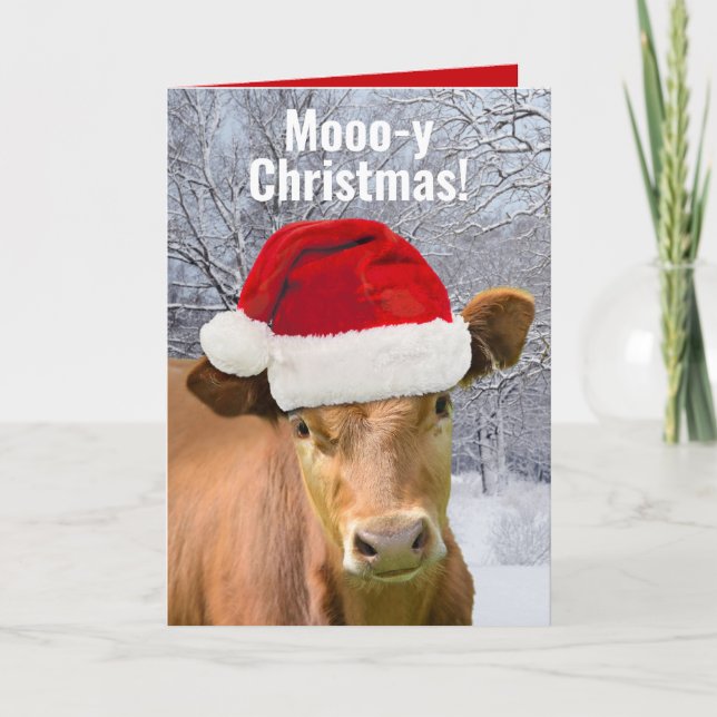 Cow in Santa Hat Mooo-y Christmas, Happy Moo Year Holiday Card (Front)