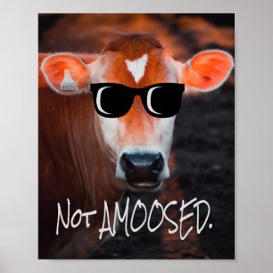 Cow in Sunglasses Not aMOOsed Cute Funny Poster