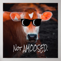 Cow in Sunglasses Not aMOOsed Cute Funny