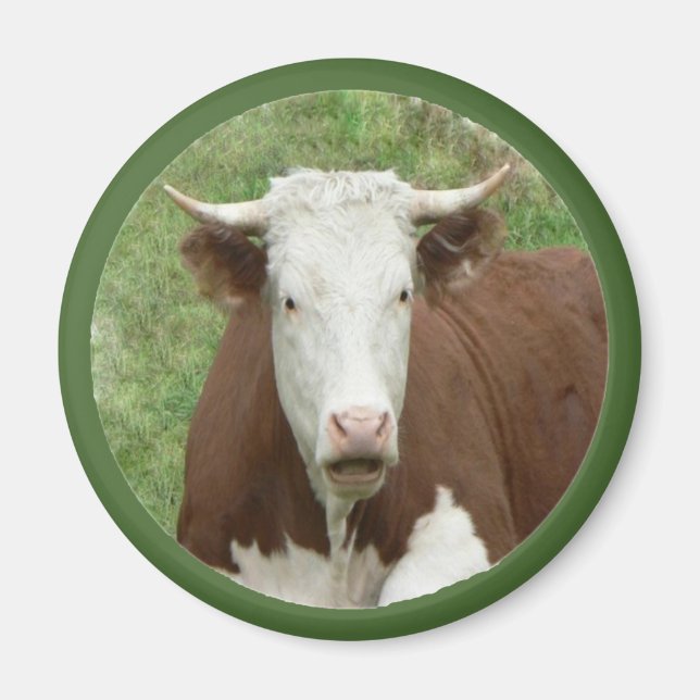 Cow in the Grass Cameo Magnet (Front)