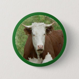 Cow in the Grass Pin-Back Button