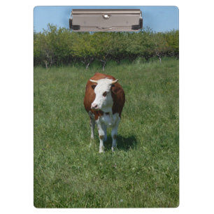 Cow In The Pasture Clipboard