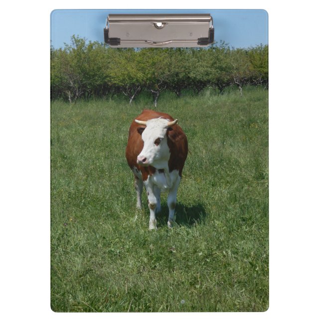 Cow In The Pasture Clipboard (Front)