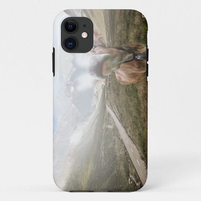 Cow in the valley - iPhone 5 case (Back)