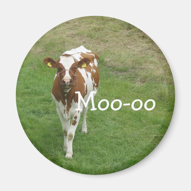 Cow Magnets (Front)