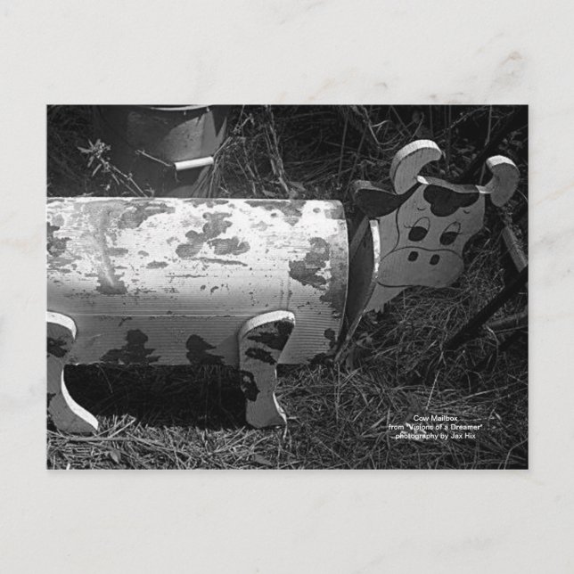 Cow Mailbox Postcard (Front)