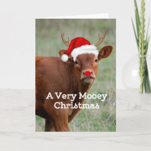 Cow Mooey Christmas Holiday Card