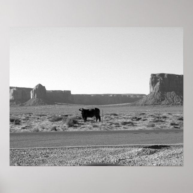 Cow Next to the Road in Monument Valley 16x20 Poster (Front)