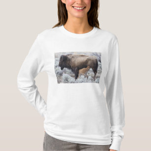 Cow Nursing Bison Calf, Yellowstone T-Shirt
