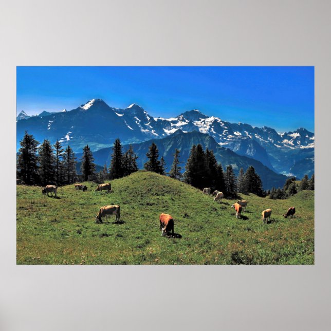 Cow Pasture in the Alps Poster (Front)