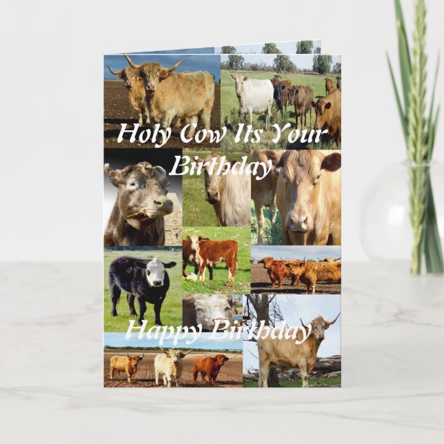 Cow Photo Collage, Birthday Card (Front)