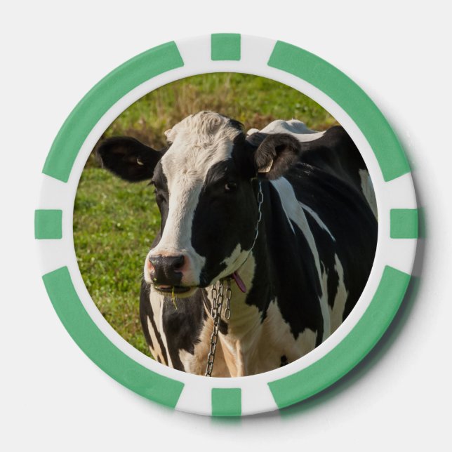 cow photo poker chips (Front)