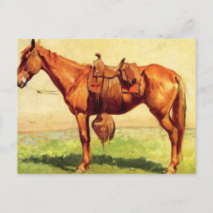 Cow Pony Postcard