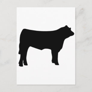 cow postcard