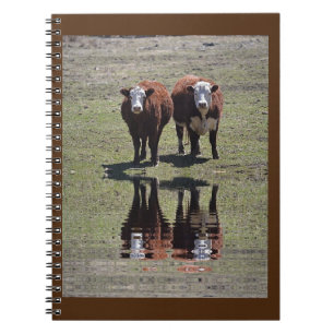 Cow Reflections Notebook