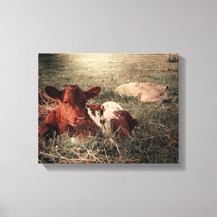 Cow Rustic Country Farmhouse Canvas Print