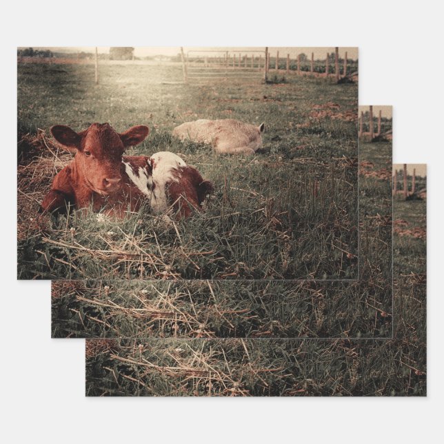 Cow Rustic Country Farmhouse Decoupage Wrapping Paper Sheet (Set)