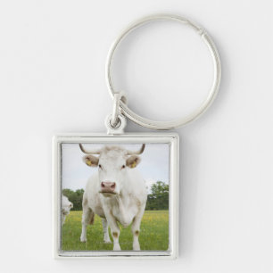 Cow standing in grassy field key ring