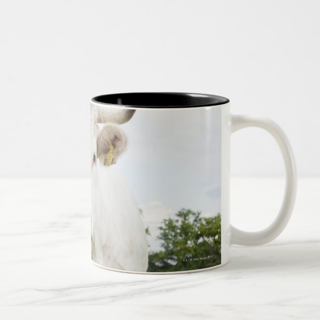Cow standing in grassy field Two-Tone coffee mug (Right)