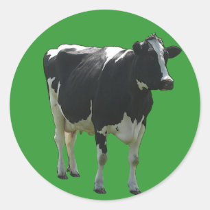 Cow Stickers