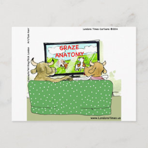 Cow TV Shows Funny Cartoon Postcard