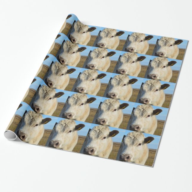 Cow up close wrapping paper (Unrolled)