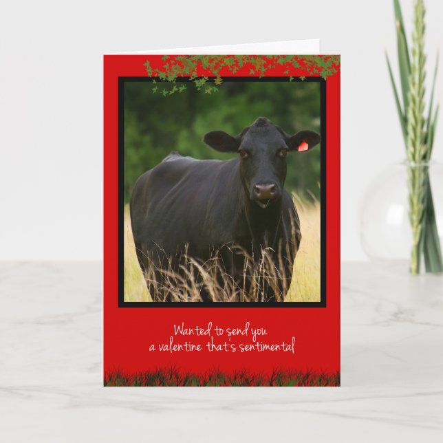 Cow Valentine Holiday Card (Front)