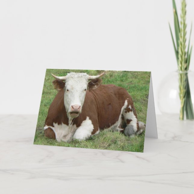 Cow What is All the Moo About Friendship, ZKA Holiday Card (Front)