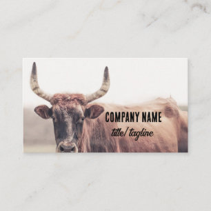 cow with horns country animal photograph business card