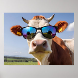 Cow with sunglasses poster