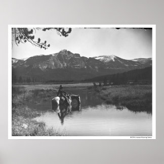 Cowboy and horse in a pond poster