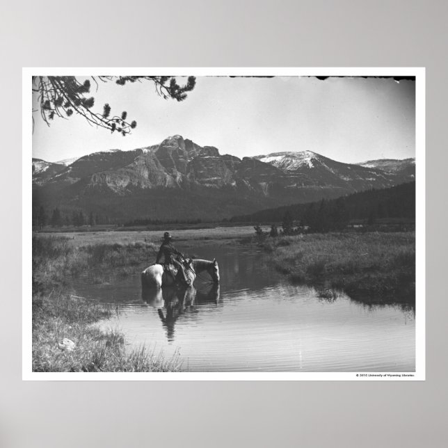 Cowboy and horse in a pond poster (Front)