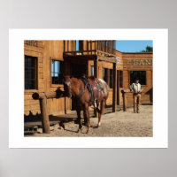 Cowboy and horse in the wild west, USA