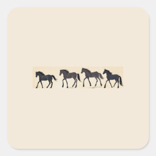 Cowboy Birthday Party Square Sticker