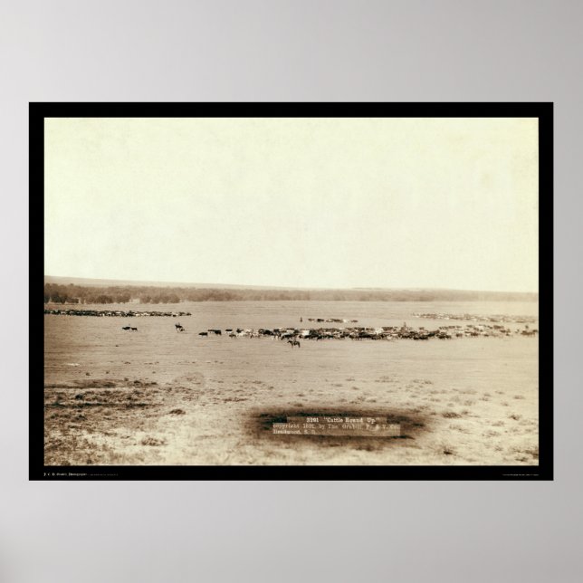 Cowboy Cattle Round Up SD 1891 Poster (Front)